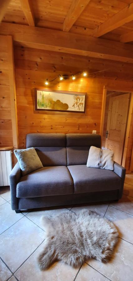 Bienvenue Dans Notre Chalet! Appartement Les Sitelles Ле-Гран-Борнан Экстерьер фото